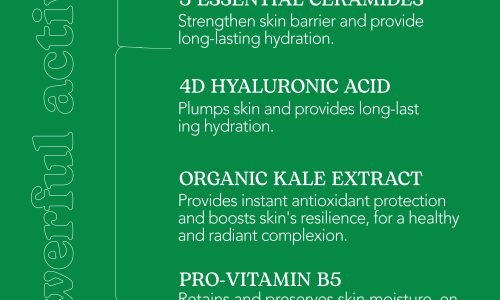 BEESLINE EVERYONE BARRIER CREAM 50ML